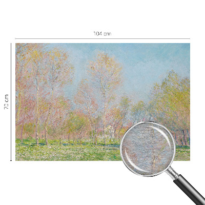 Modern fotótapéta méretre Tavaszi park