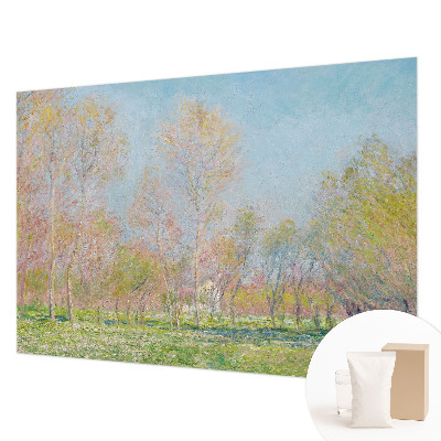 Modern fotótapéta méretre Tavaszi park