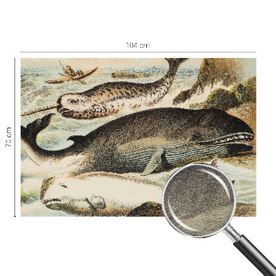 Vlies fotótapéta gyerekszobába Tengeri óriások