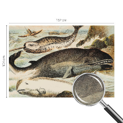 Vlies fotótapéta gyerekszobába Tengeri óriások