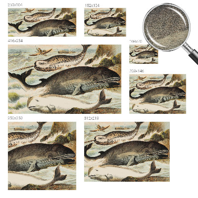 Vlies fotótapéta gyerekszobába Tengeri óriások