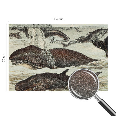 Vlies alapú fotótapéta Tengeri élőlények