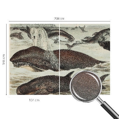 Vlies alapú fotótapéta Tengeri élőlények