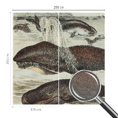 Vlies alapú fotótapéta Tengeri élőlények