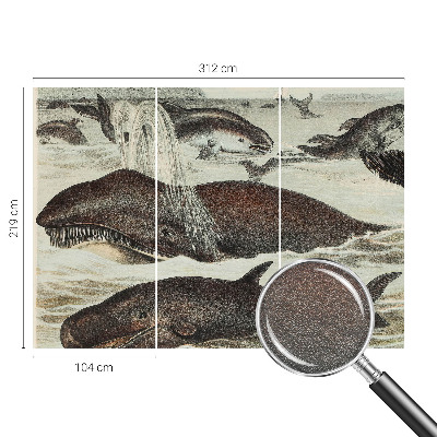 Vlies alapú fotótapéta Tengeri élőlények