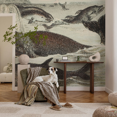 Vlies alapú fotótapéta Tengeri élőlények