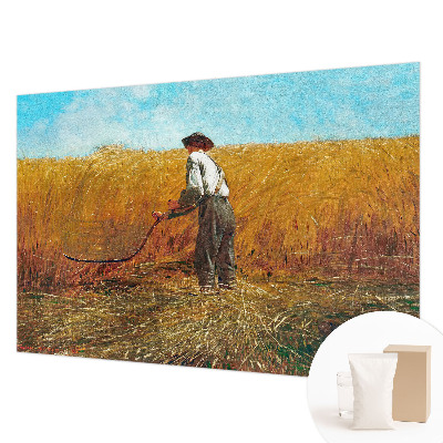 Fali poszter tapéta Aratás a napon