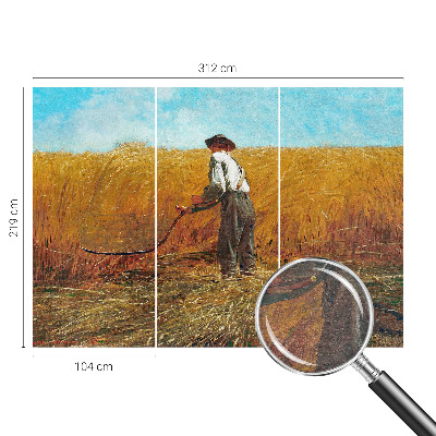 Fali poszter tapéta Aratás a napon