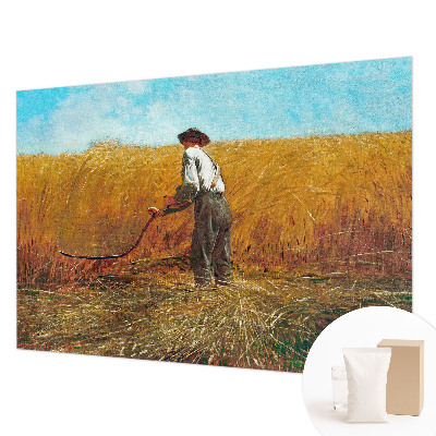Fali poszter tapéta Aratás a napon