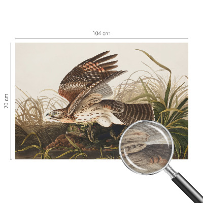 Vlies fotótapéta Szárnyas szépség