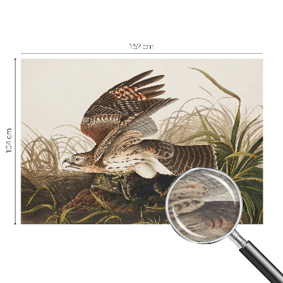 Vlies fotótapéta Szárnyas szépség