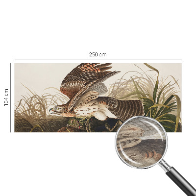 Vlies fotótapéta Szárnyas szépség