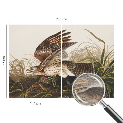 Vlies fotótapéta Szárnyas szépség