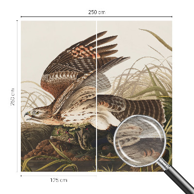 Vlies fotótapéta Szárnyas szépség