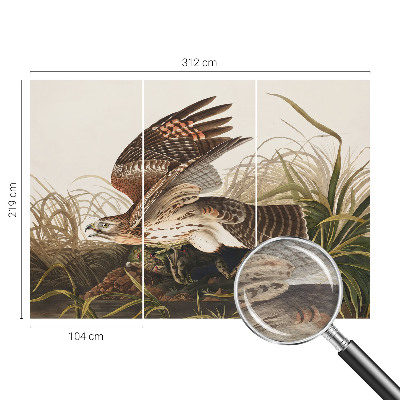 Vlies fotótapéta Szárnyas szépség