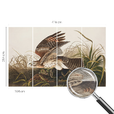 Vlies fotótapéta Szárnyas szépség