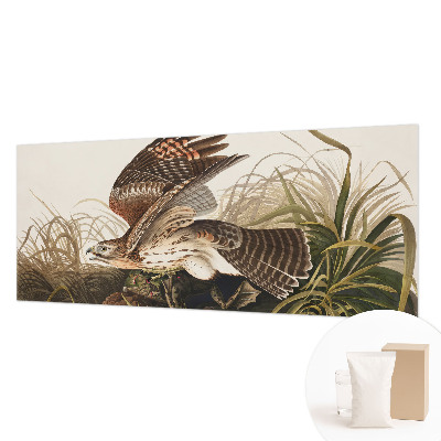 Vlies fotótapéta Szárnyas szépség