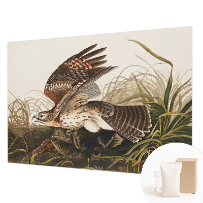 Vlies fotótapéta Szárnyas szépség