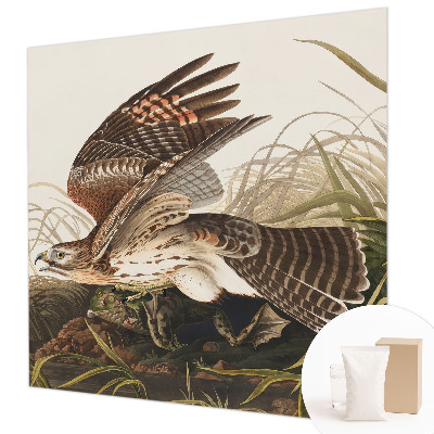 Vlies fotótapéta Szárnyas szépség