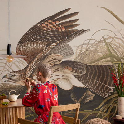 Vlies fotótapéta Szárnyas szépség