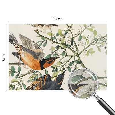 Vlies fotótapéta nappaliba Színes madarak