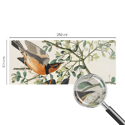 Vlies fotótapéta nappaliba Színes madarak