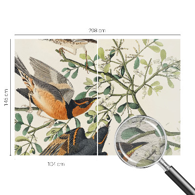 Vlies fotótapéta nappaliba Színes madarak