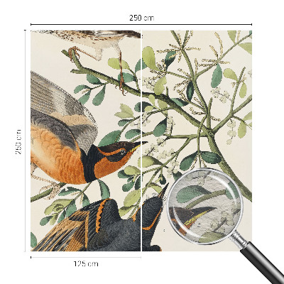 Vlies fotótapéta nappaliba Színes madarak