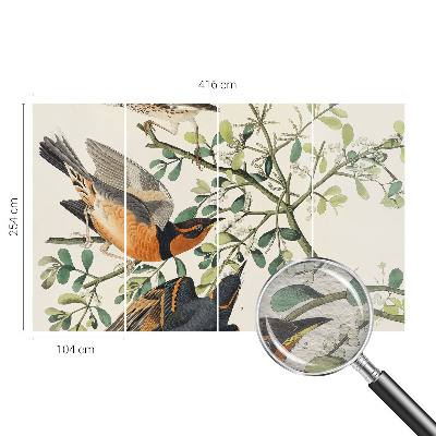 Vlies fotótapéta nappaliba Színes madarak