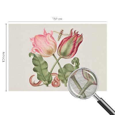 Nyomtatott vlies fotótapéta Tulipán szépség
