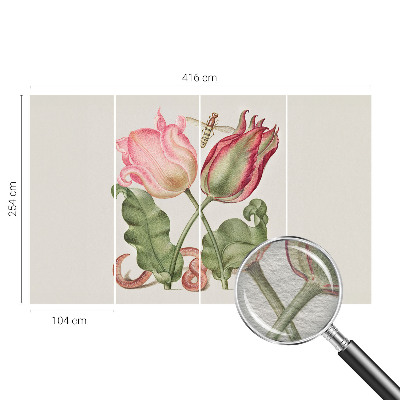 Nyomtatott vlies fotótapéta Tulipán szépség