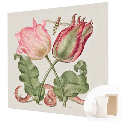 Nyomtatott vlies fotótapéta Tulipán szépség