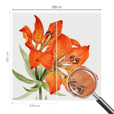 Fali poszter tapéta Narancssárga liliom