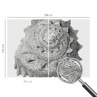 Dekor fotótapéta A természet művészete