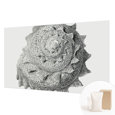 Dekor fotótapéta A természet művészete