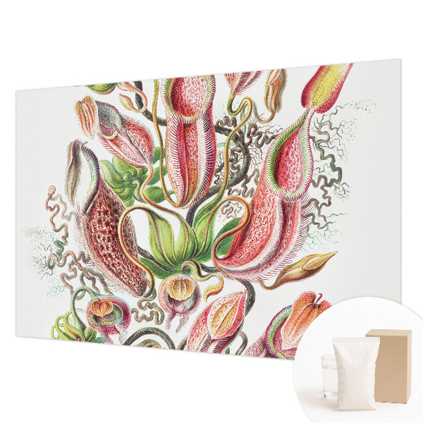 Dekoratív fotótapéta nappaliba Növény részletei