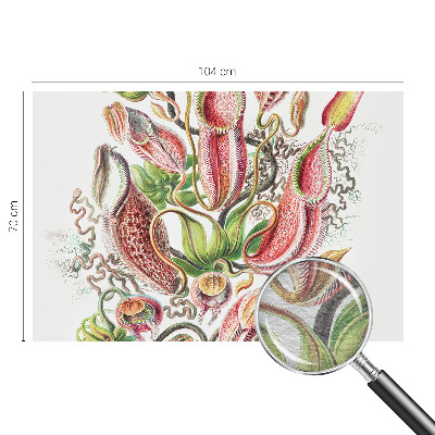 Dekoratív fotótapéta nappaliba Növény részletei