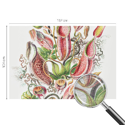 Dekoratív fotótapéta nappaliba Növény részletei