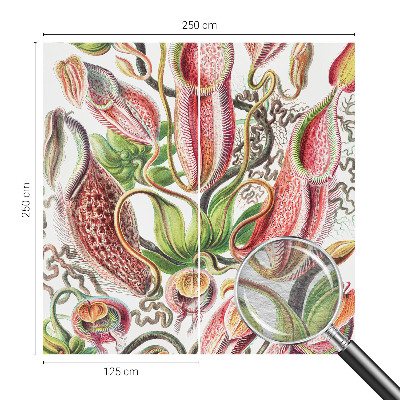 Dekoratív fotótapéta nappaliba Növény részletei