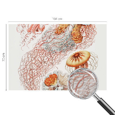 Óriás fotótapéta Díszes medúza