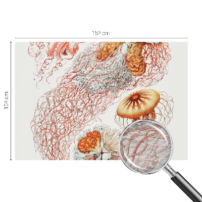 Óriás fotótapéta Díszes medúza