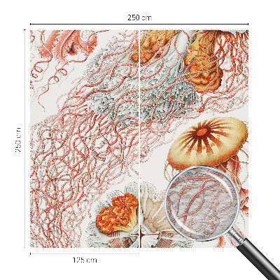 Óriás fotótapéta Díszes medúza