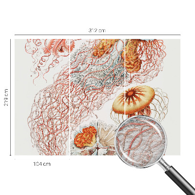 Óriás fotótapéta Díszes medúza
