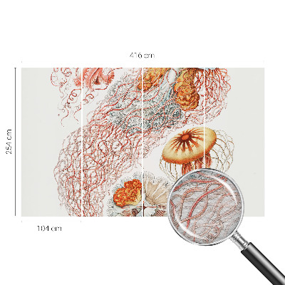 Óriás fotótapéta Díszes medúza