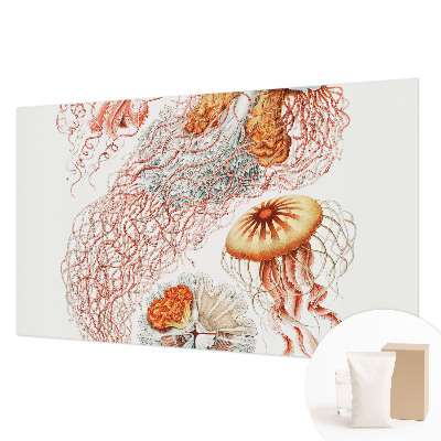 Óriás fotótapéta Díszes medúza