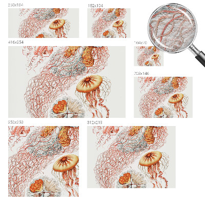Óriás fotótapéta Díszes medúza