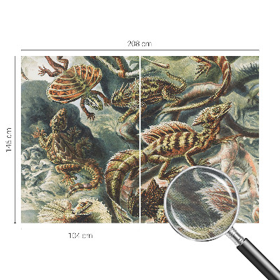 Kép tapéta Egzotikus hüllők