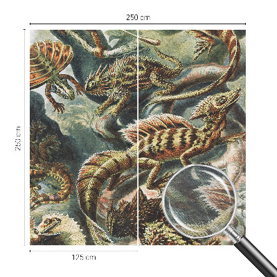 Kép tapéta Egzotikus hüllők