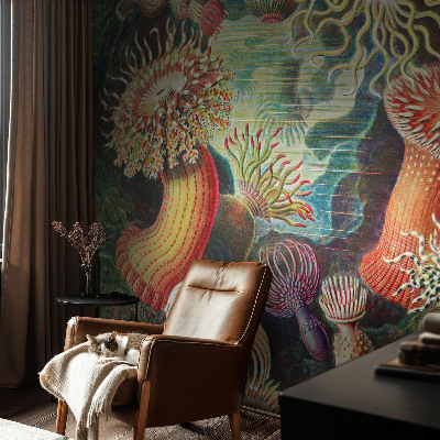 Vlies fotótapéta Díszes szellőrózsák