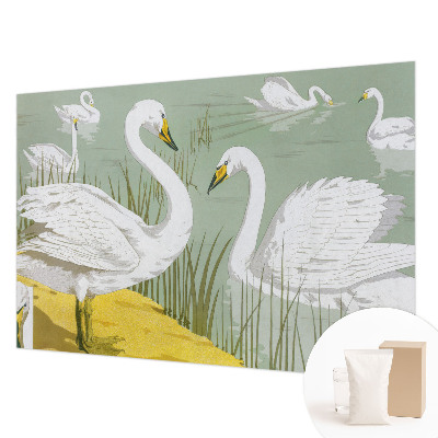 Flíz fotótapéta Hattyúk tava